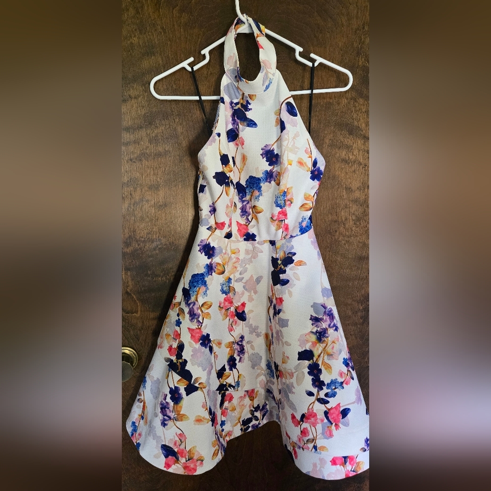 Forever 21 Blue and Pink Halter Backless Women's A-Line Dress